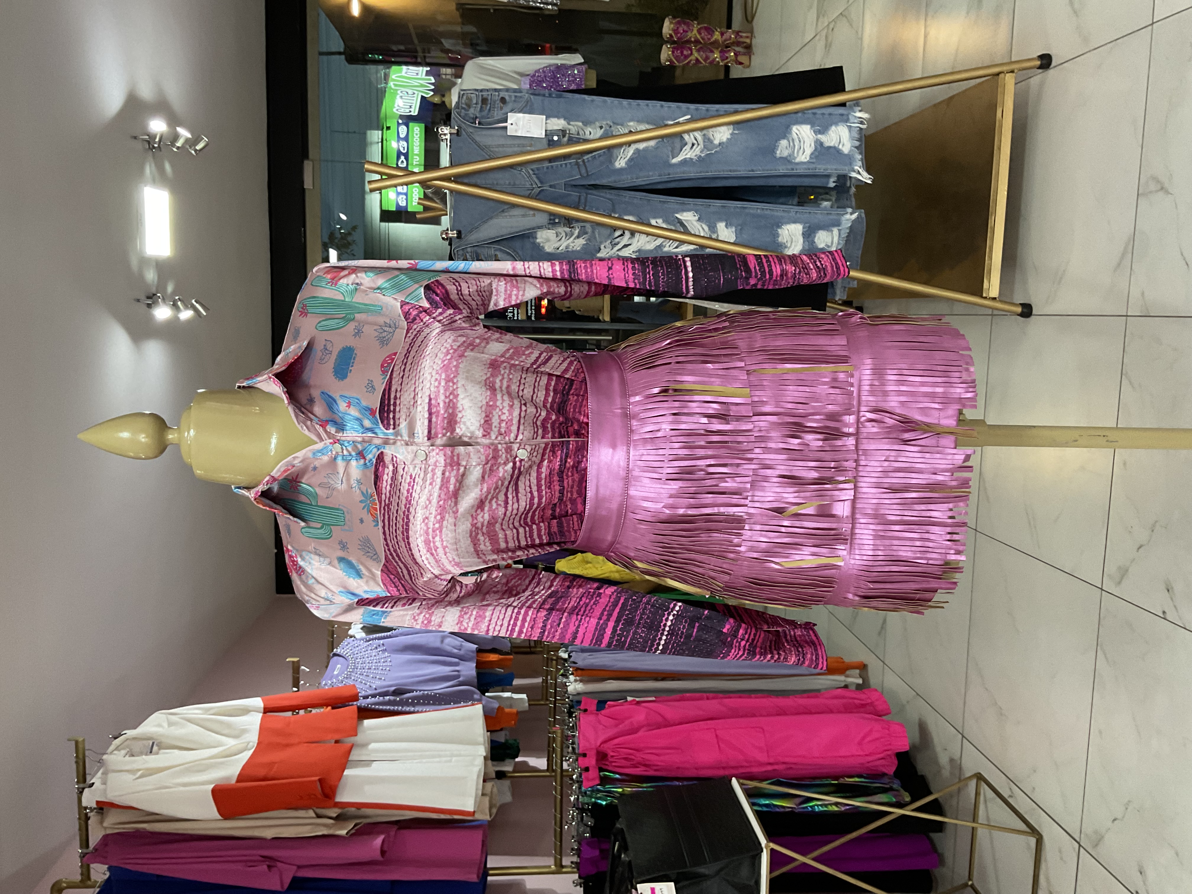 Camisa Manga Larga Vaquera Rosa Cactus 